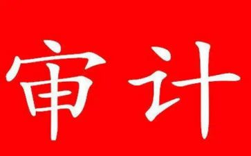 审计处工作总结6篇