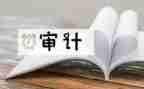 审计年度工作报告8篇