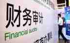 区审计局审计工作总结通用7篇