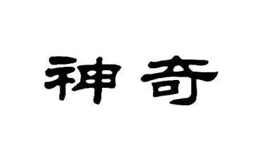 神奇的船作文模板6篇