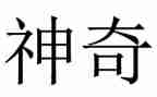 神奇飞书的读后感5篇