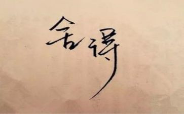 舍与得议论作文最新7篇