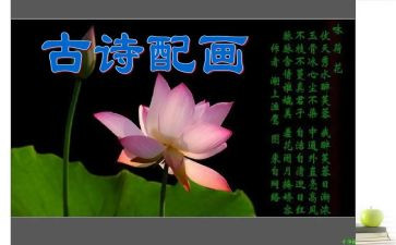 诗中的故事作文7篇