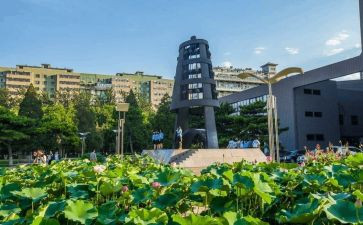 北师大语文工作计划8篇