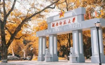 实习师范生心得体会优质5篇