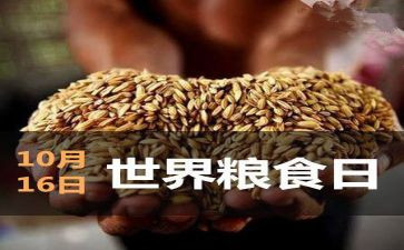 世界粮食日的心得体会8篇