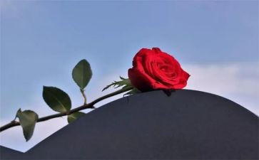 失去的记忆作文精选7篇