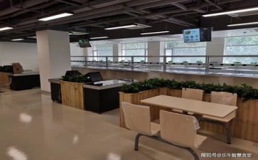 2024年食堂个人总结模板6篇