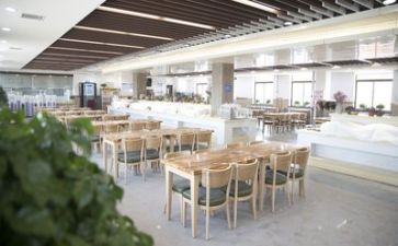 2024年食堂述职报告最新7篇