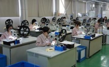 实习期的实习报告5篇