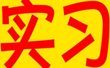 工作实习总结参考6篇