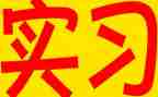 工作实习总结参考6篇