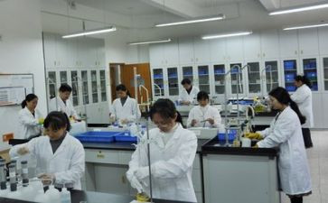 会计实验总结报告5篇
