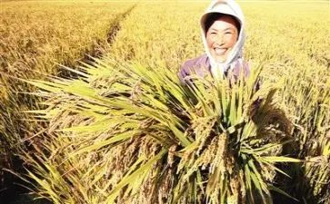 个人培训收获或心得体会5篇