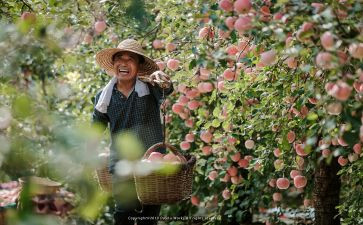 培训收获心得推荐7篇