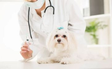 兽医师评职称述职报告7篇