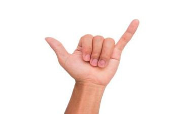 手指遥教案优质6篇