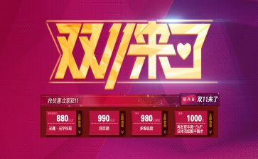 双11工作总结报告模板7篇