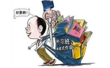 2024年双减培训心得体会8篇