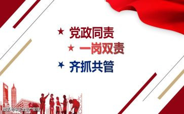 落实一岗双责自查报告6篇