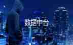 2024年数据工作总结6篇