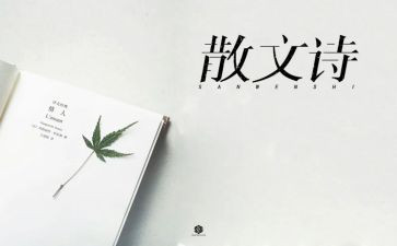 关于抒情的作文6篇