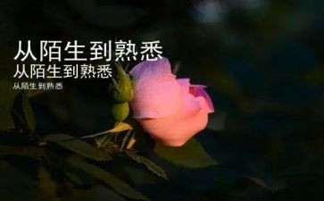 最熟悉的人作文600字模板6篇