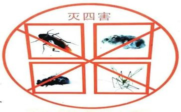 治四害工作计划6篇
