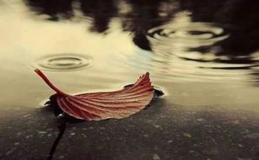 跟思念有关的作文6篇