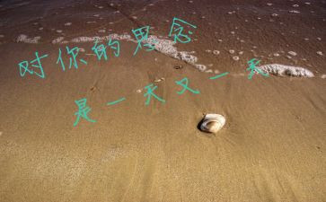 作文思念的人600字最新5篇