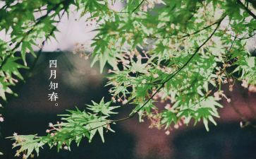 班级四月的工作计划7篇