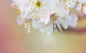 陶在人间四月天作文8篇