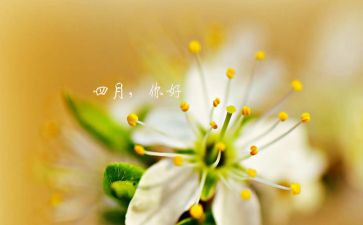 2023小班四月工作计划5篇