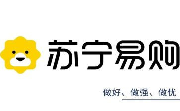 2023苏宁工作总结5篇