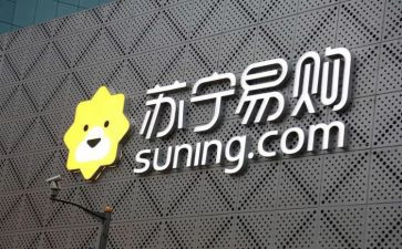 苏宁年度工作总结6篇