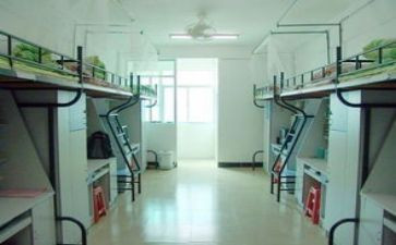 宿舍会工作计划模板6篇
