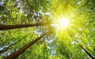 太阳,月亮作文优质5篇