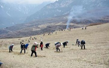 2023特岗教师述职报告5篇