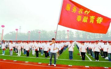 2024年特岗培训心得优质5篇