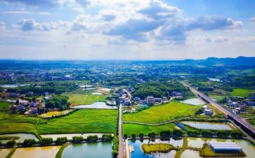 2024年特岗教师个人总结通用6篇