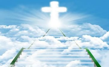 《猫的天堂》读后感5篇