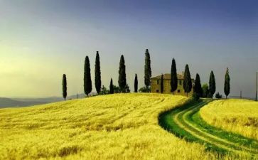 《秋天的田野》作文最新8篇