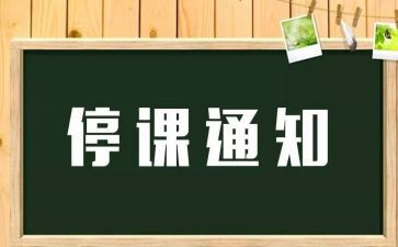 停课的心得体会6篇