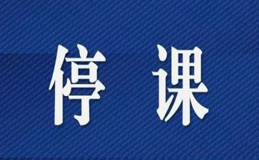 停课不停学心得体会5篇