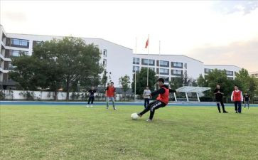 2023体卫艺主任述职报告7篇