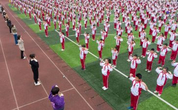 幼儿园体育活动钻教案模板8篇