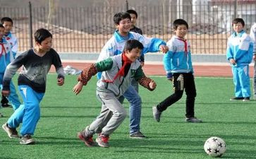 体育活动队活动方案策划精选6篇