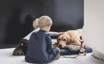 同情心作文最新8篇