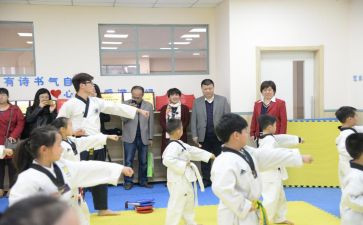 高二团工作计划模板6篇
