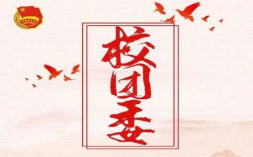 乡镇团委工作计划范文5篇
